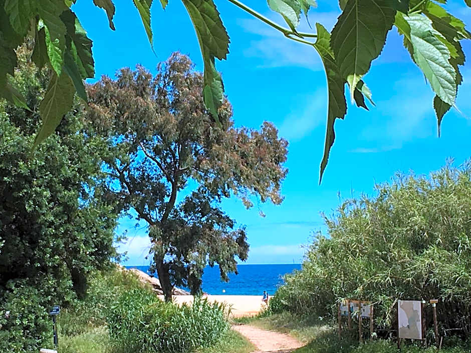 Le Clos des Sept Palmiers