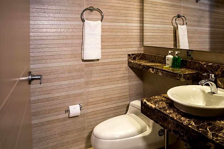 Apartamentos Plaza Suites