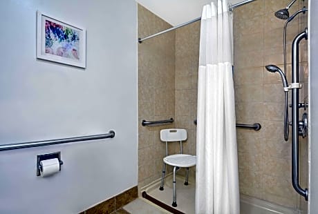 1 King Mobility Access Roll In Shower Ns