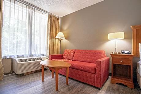 King Room - Accessible/Smoking