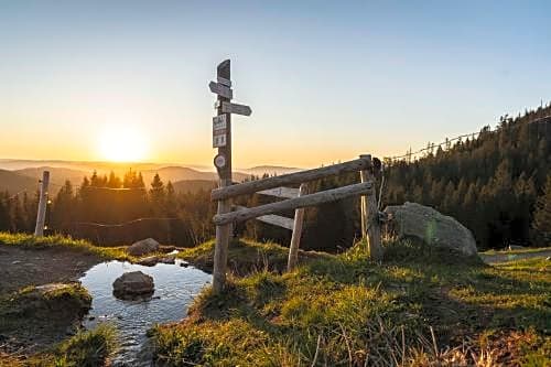 Waldhotel Fehrenbach