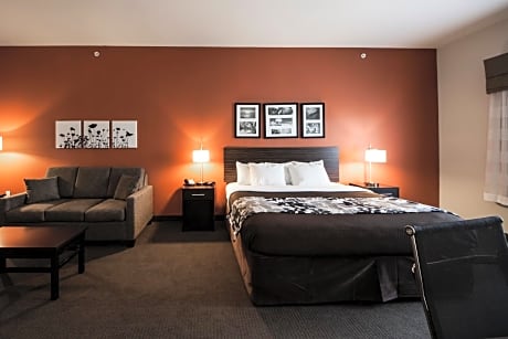 1 King Bed, Suite, Nonsmoking