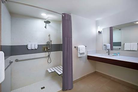 King Room with Roll-In Shower - Disability Access