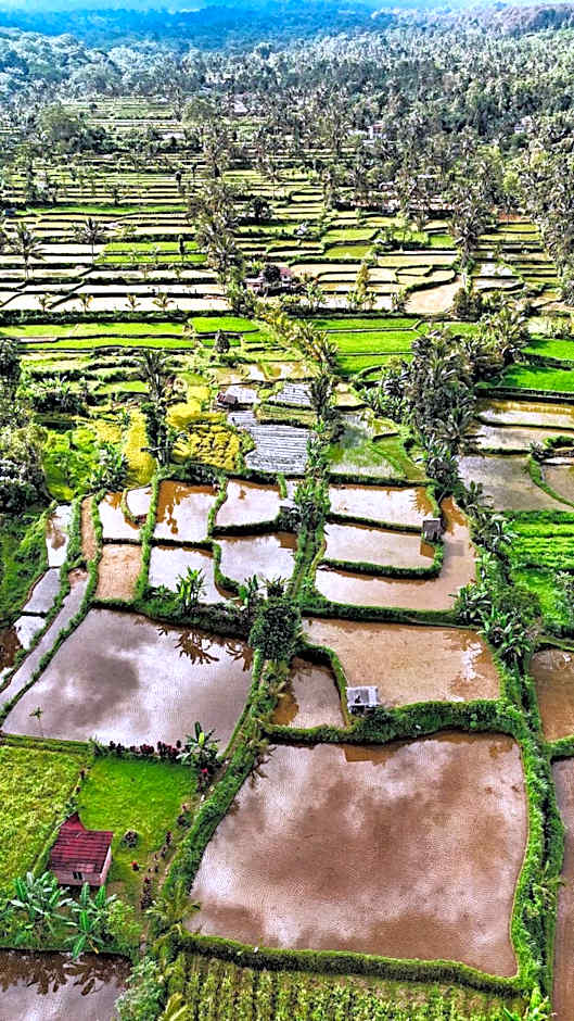 The Alam Bungalow & Restaurant