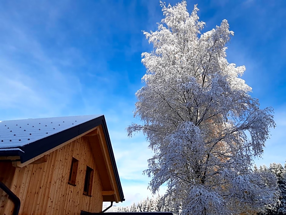 Auszeit Almhaus Schmalzbauer