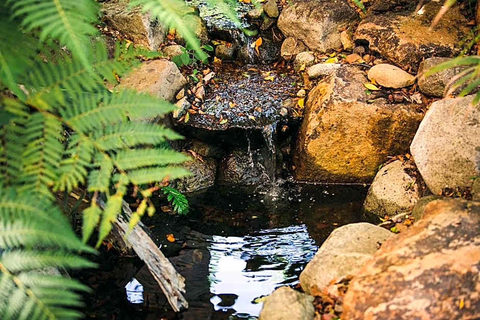 Noosa Valley Manor B&B