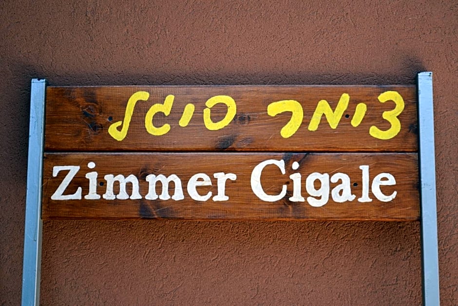 zimmer cigale