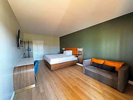 1 King Bed Non-Smoking Sofabed Microwave And Refrigerator Wi-Fi Shower Only Continental Breakfast