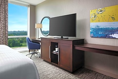 1 KING MANHATTAN VIEW HEARING ACCESSIBLE NS