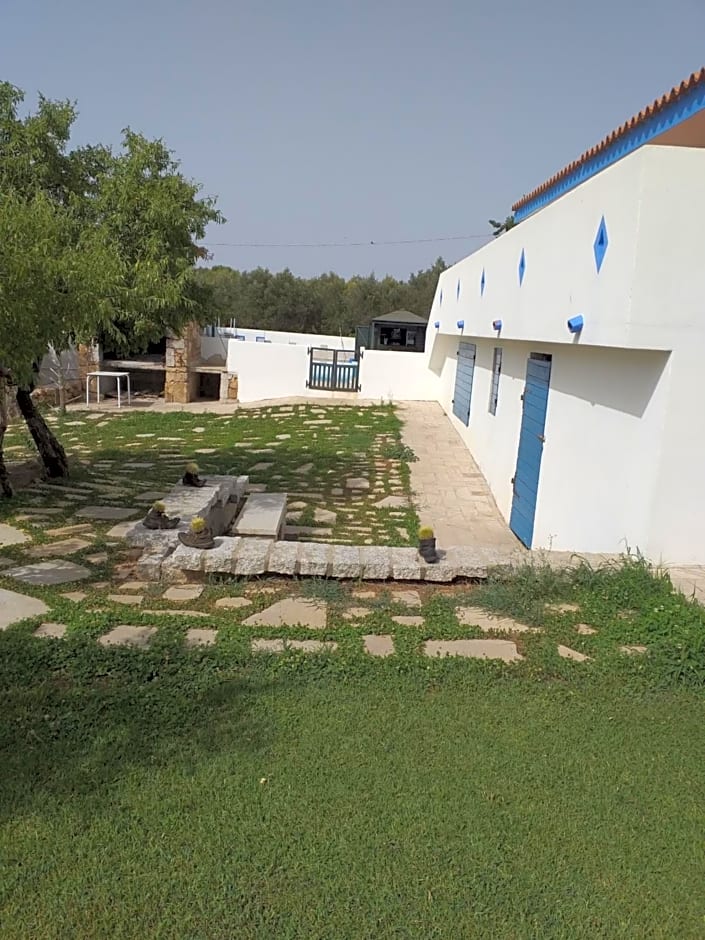 B&B Daillu