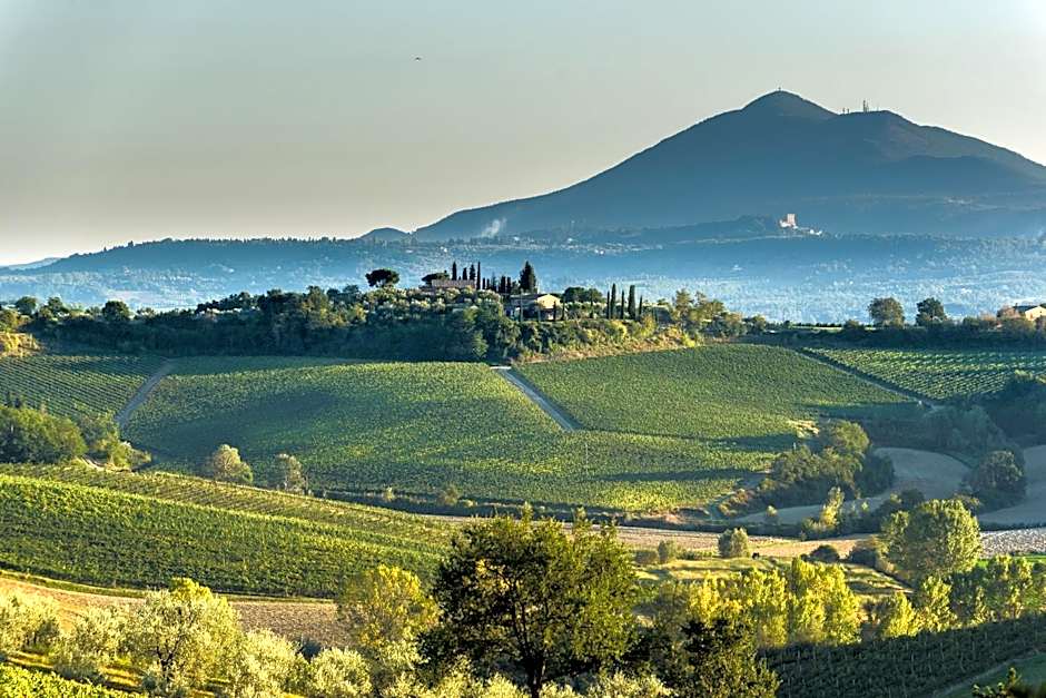 La Casa Delle Querce