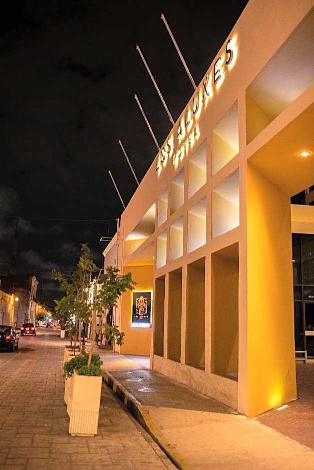 Hotel Los Aluxes