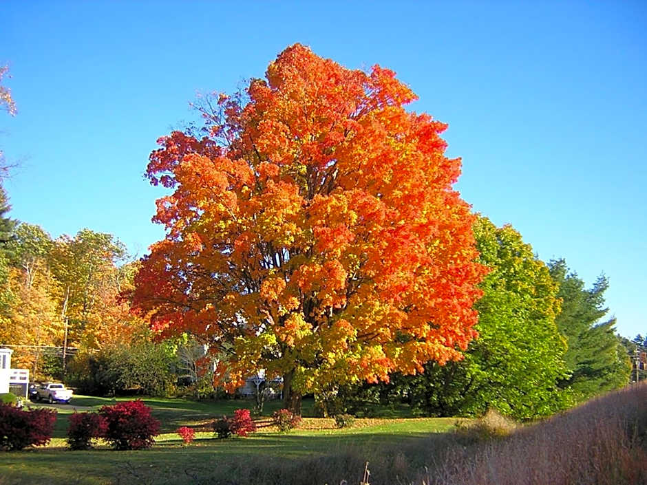 Golden Gables Inn