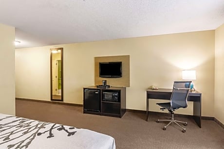 1 King Bed, Smoking, Accessible