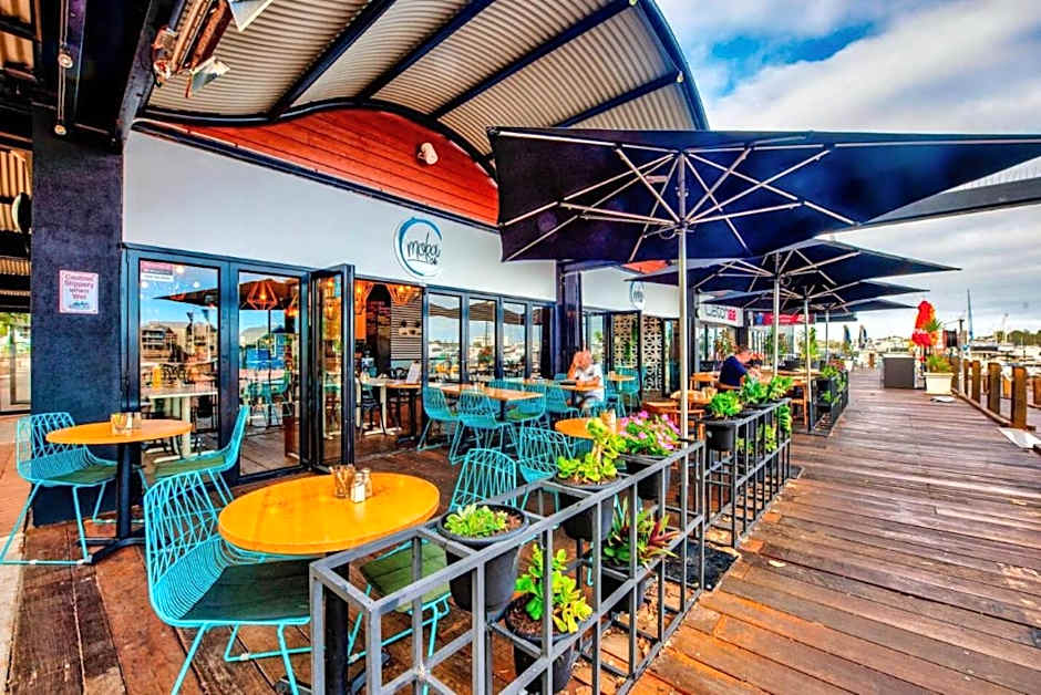 Little Italy Dolphins