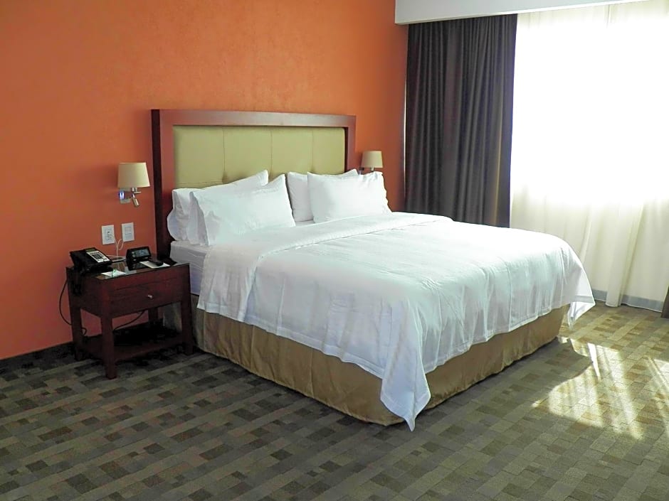 Holiday Inn Leon Plaza Mayor By IHG
