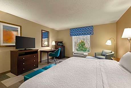 1 King Bed Nonsmoking