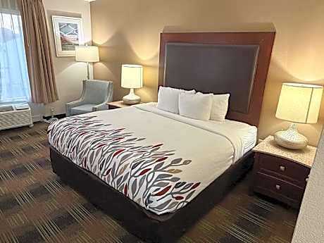 King Room - Disability Access