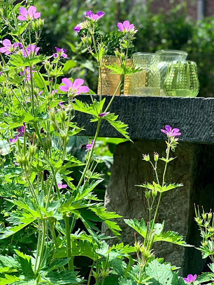 Hotel Au Nom De Dieu