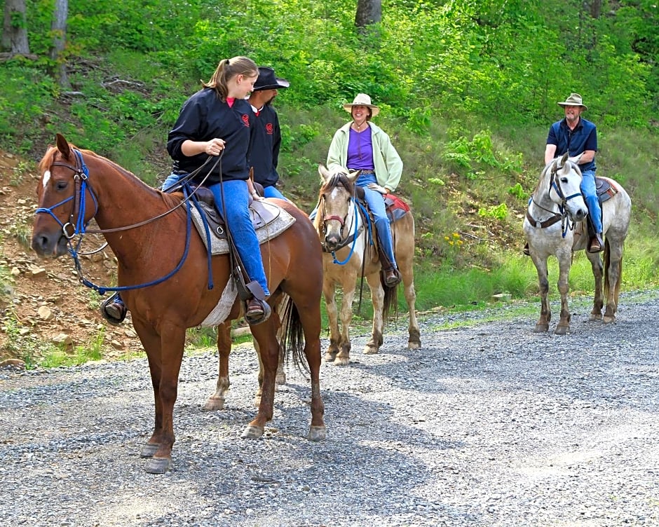 Mt Mitchell Cabin Rentals