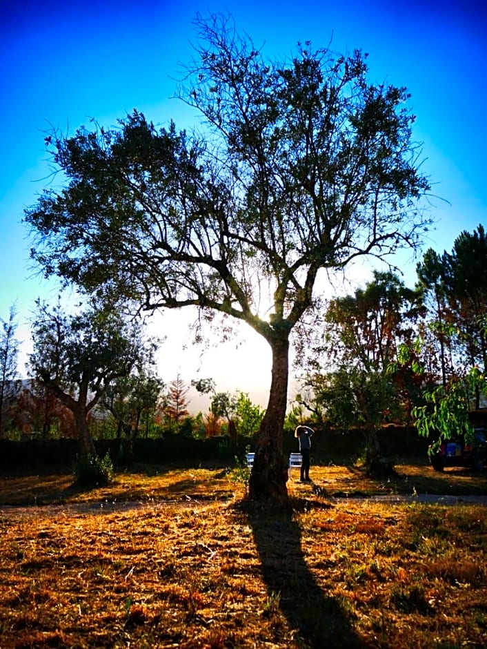 Quinta do Castanheiro