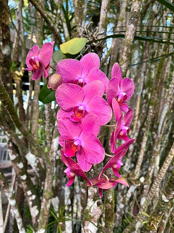 Les Gîtes de la Lézarde