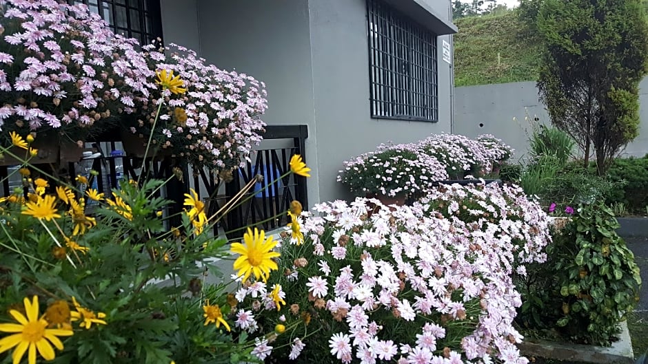 KPW at Royal Lily Apartment