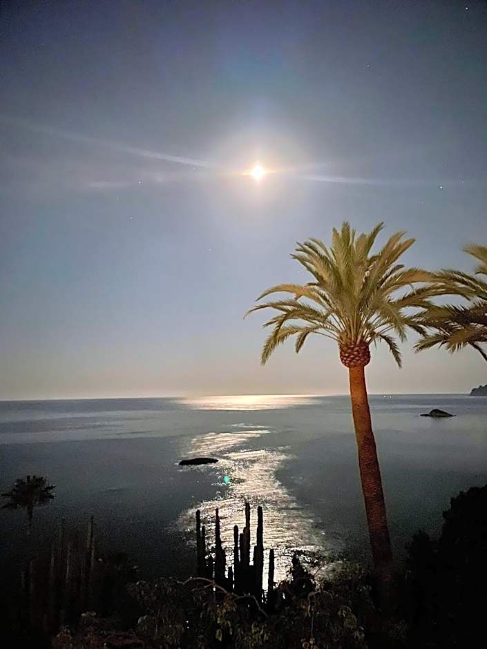 El jardin Botánico Villa LUZ