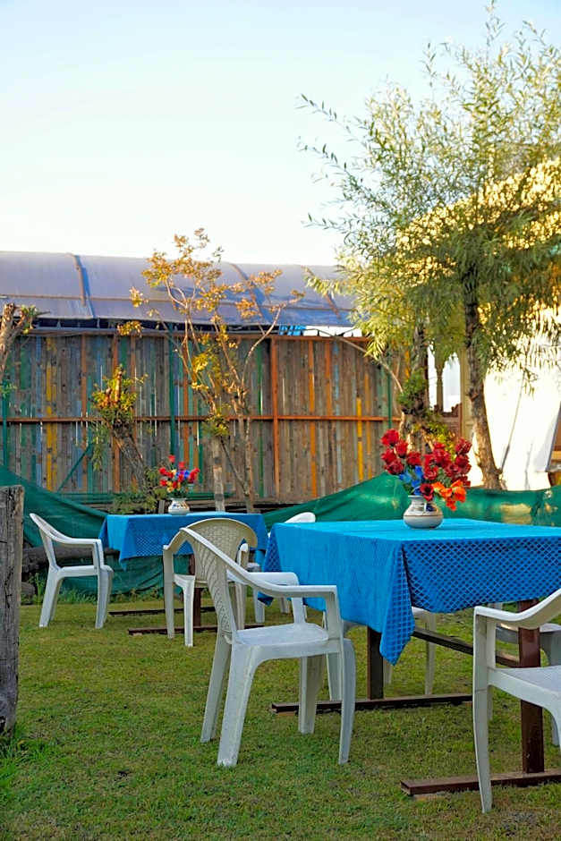 Swan Group of Houseboats, Golden Dal Lake