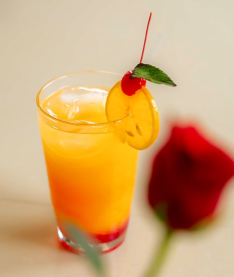 Centro Hotel Villa las Margaritas