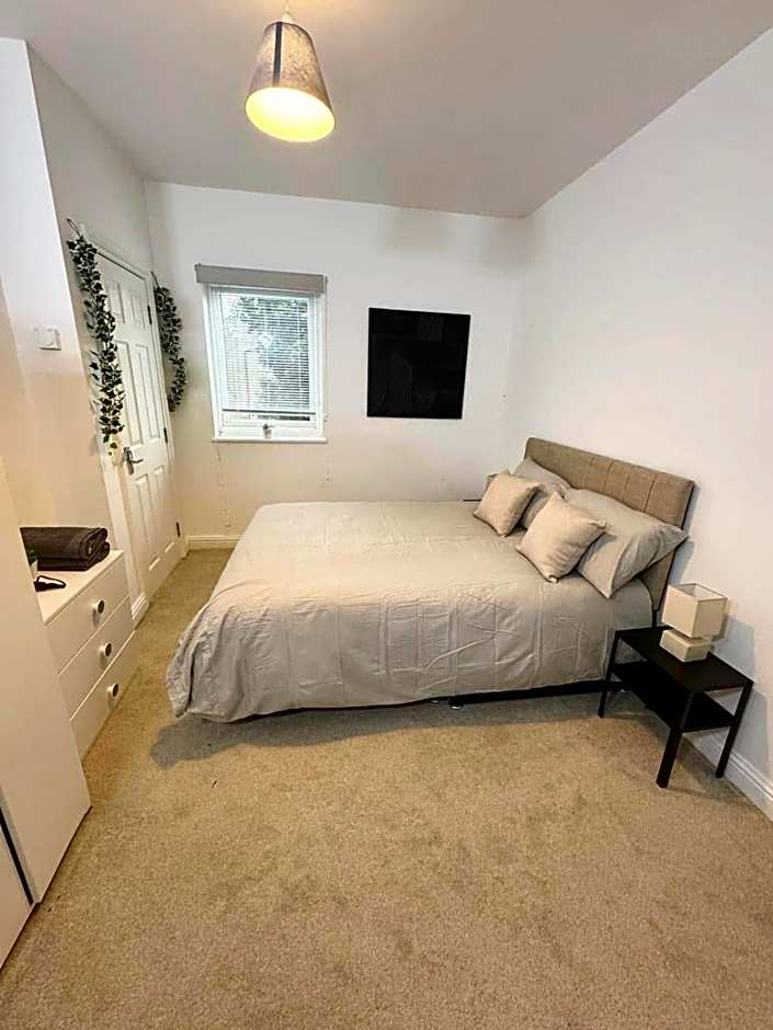 Lovely Central 1BR Flat