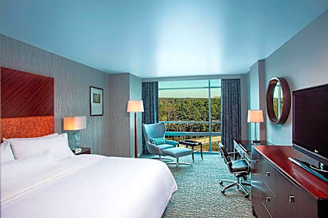 Workout Room, Guest room, 1 King