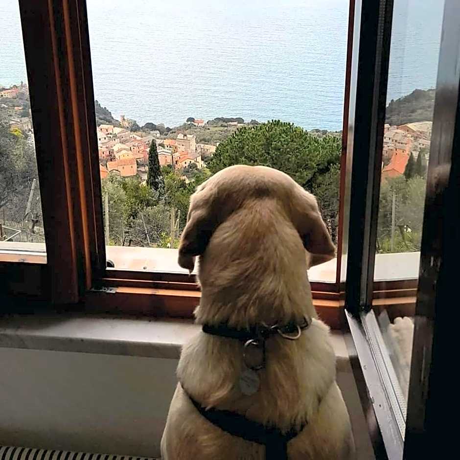 Ostello ninin de ma'