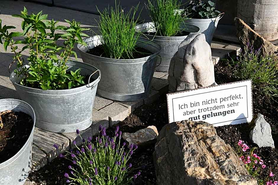 Edelweiß am Öberle