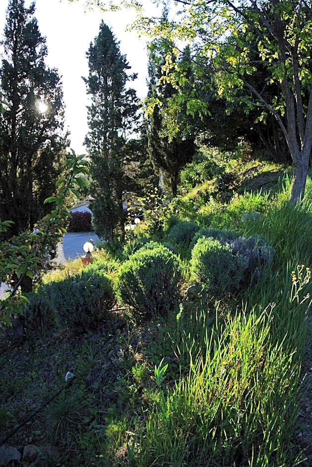 Le Relais Des Chartreuses