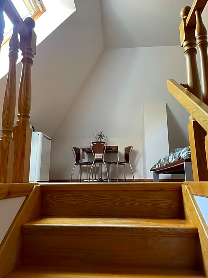 Willa Kosówka - Frydman