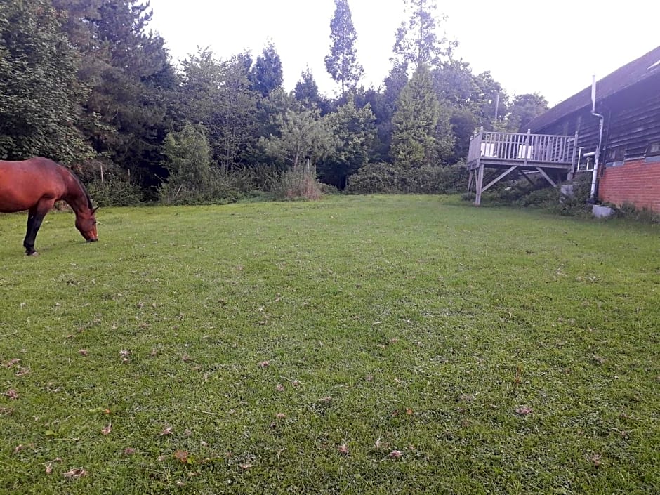 Moaps Farm B&B support small business, welcome, check in from 5 pm