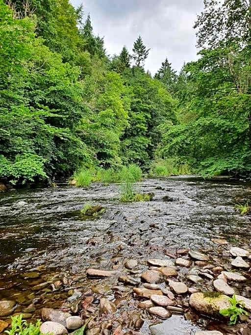 Beautiful Borders Cabin