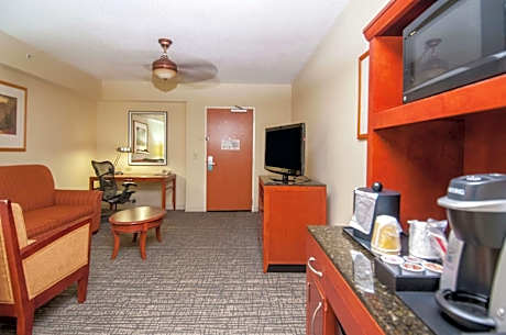 One-Bedroom Mini Suite