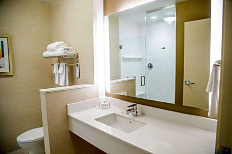 King Suite with Sofa Bed and Transfer Shower - Mobility and Hearing Accessible