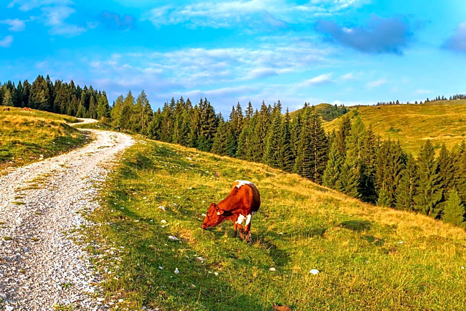 Almhaus Alpenrose Postalm