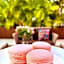 Rosas & Xocolate, Mérida, A Member Of Design Hotels