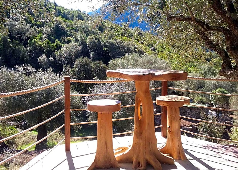 L'oliveraie du Fango