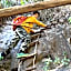 Magoebaskloof Getaway