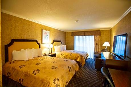 Family Queen Suite - Pet Friendly