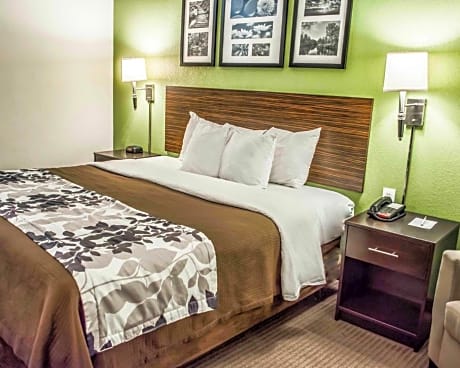 1 King Bed Nonsmoking