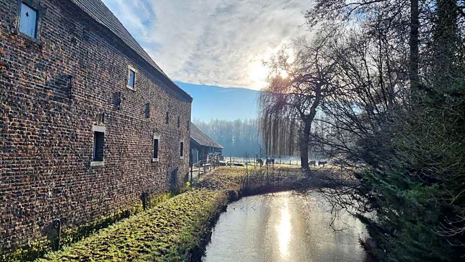 Terborgh Budget Hostel