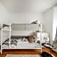 Central Apartment Lofts