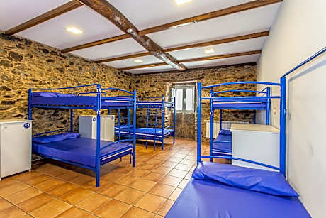 Bed in 8-Bed Mixed Dormitory Room