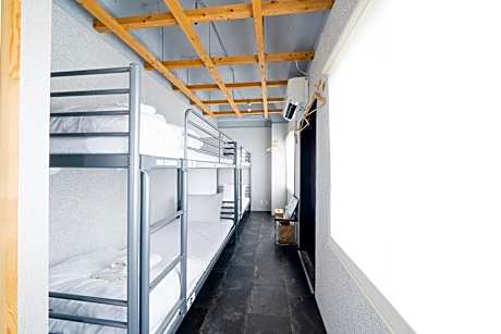 Bunk Bed in 4-Bed Dormitory Room (Female Only)